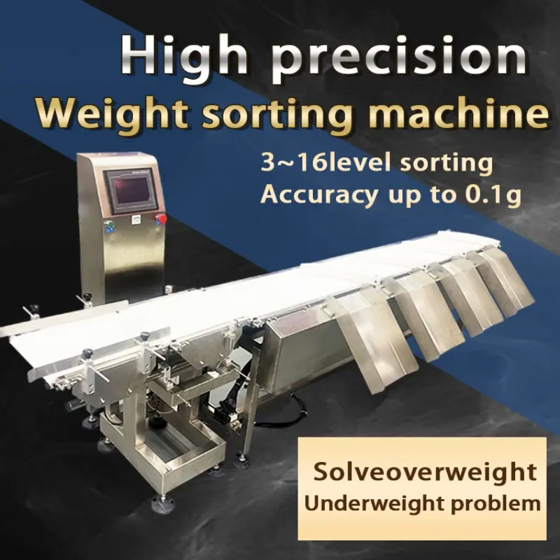 Beiheng High Accuracy Automatic Industry Commercial Use Weighing Fish Shrimp Conveyor Belt Weight Sorting Machine (2).jpg