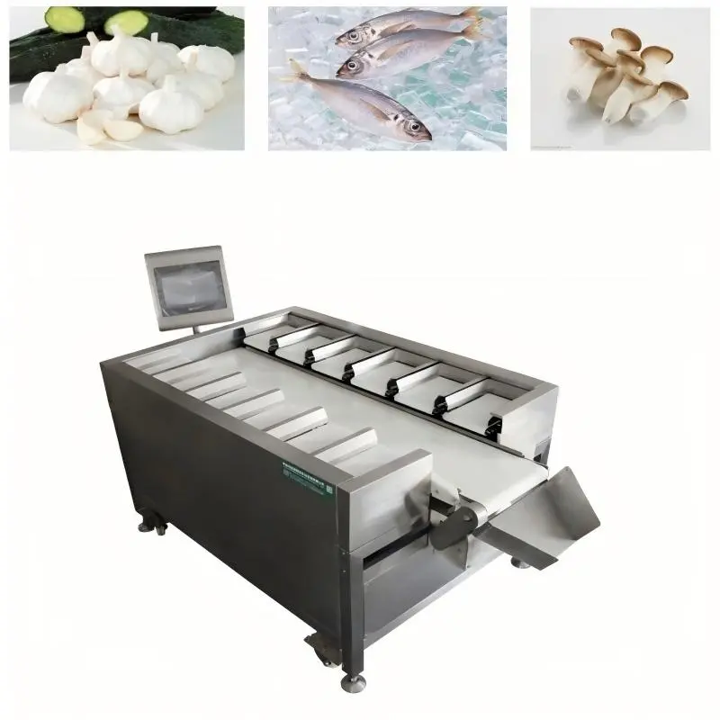 Beiheng Quality Salmon Beef Fillet Combination 12 Head Scale Automatic Belt Scale (3).jpg
