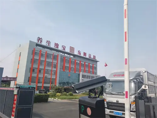 An in-depth visit to a customer site in Shandong was carried out to inspect equipment and facilitate technical exchanges, helping to upgrade the customer's production line