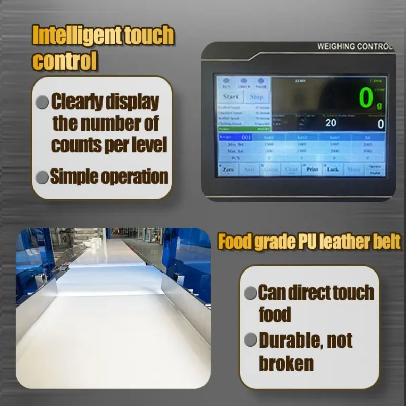 Beiheng High Accuracy Automatic Industry Commercial Use Weighing Fish Shrimp Conveyor Belt Weight Sorting Machine (3).jpg