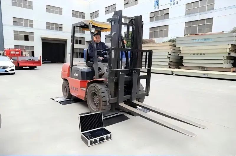 Static Weighing Inspection-aega (3)