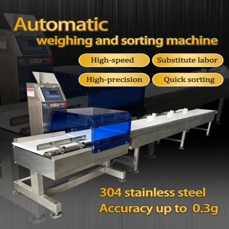 Beiheng High Accuracy Automatic Industry Commercial Use Weighing Fish Shrimp Conveyor Belt Weight Sorting Machine