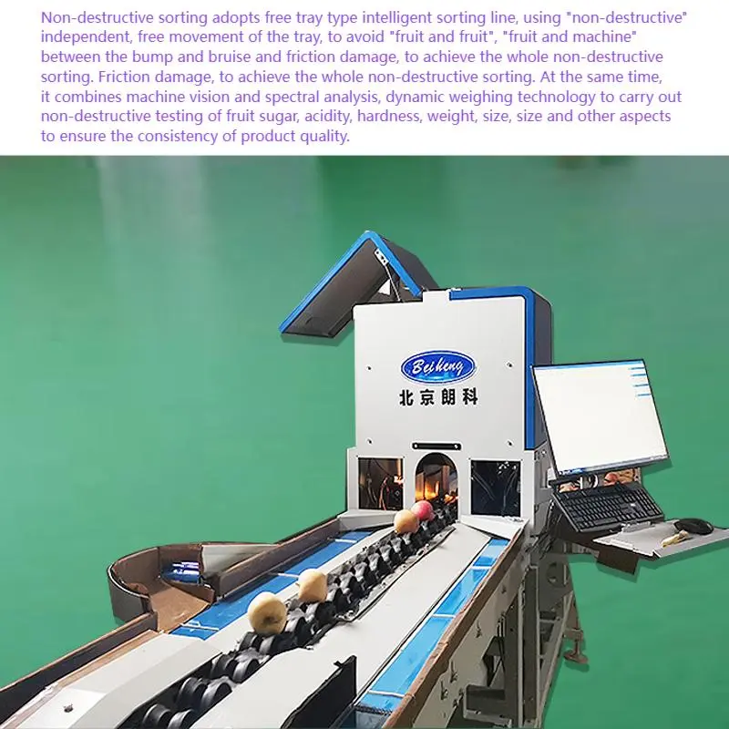 Beiheng Rotary Weight Sorters Customized Weight Sorting Machine Grading Machine Weight Classifier Grader Sorter Equipment for Fruit Apple Mango Lemon Orange Cherry Shrimp Seafood (5).jpg