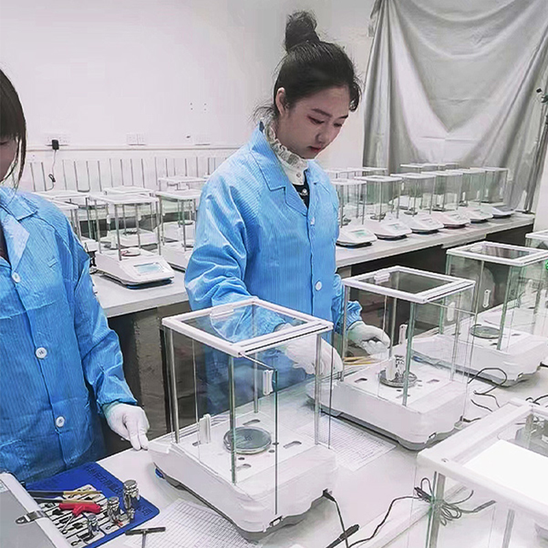 Precision Electronic Balance-aew (5)