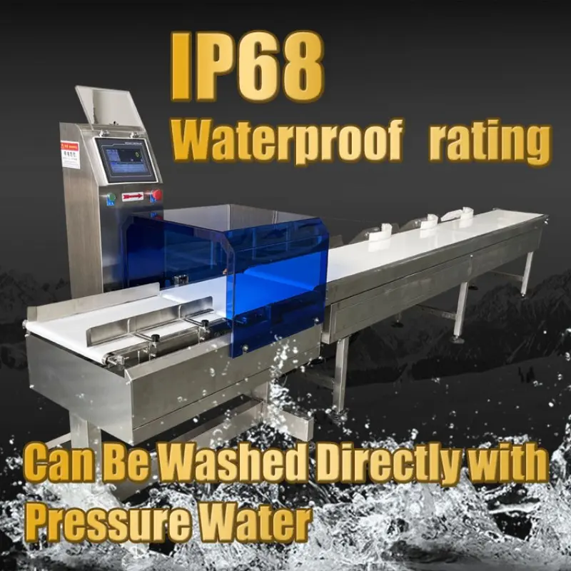 Beiheng High Accuracy Automatic Industry Commercial Use Weighing Fish Shrimp Conveyor Belt Weight Sorting Machine (6).jpg