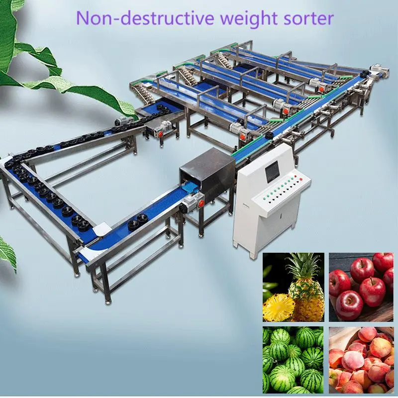 Beiheng Rotary Weight Sorters Customized Weight Sorting Machine Grading Machine Weight Classifier Grader Sorter Equipment for Fruit Apple Mango Lemon Orange Cherry Shrimp Seafood (2).jpg