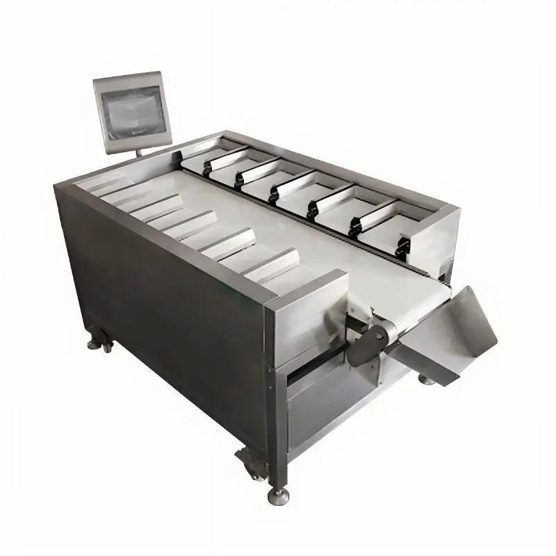 Beiheng Quality Salmon Beef Fillet Combination 12 Head Scale Automatic Belt Scale