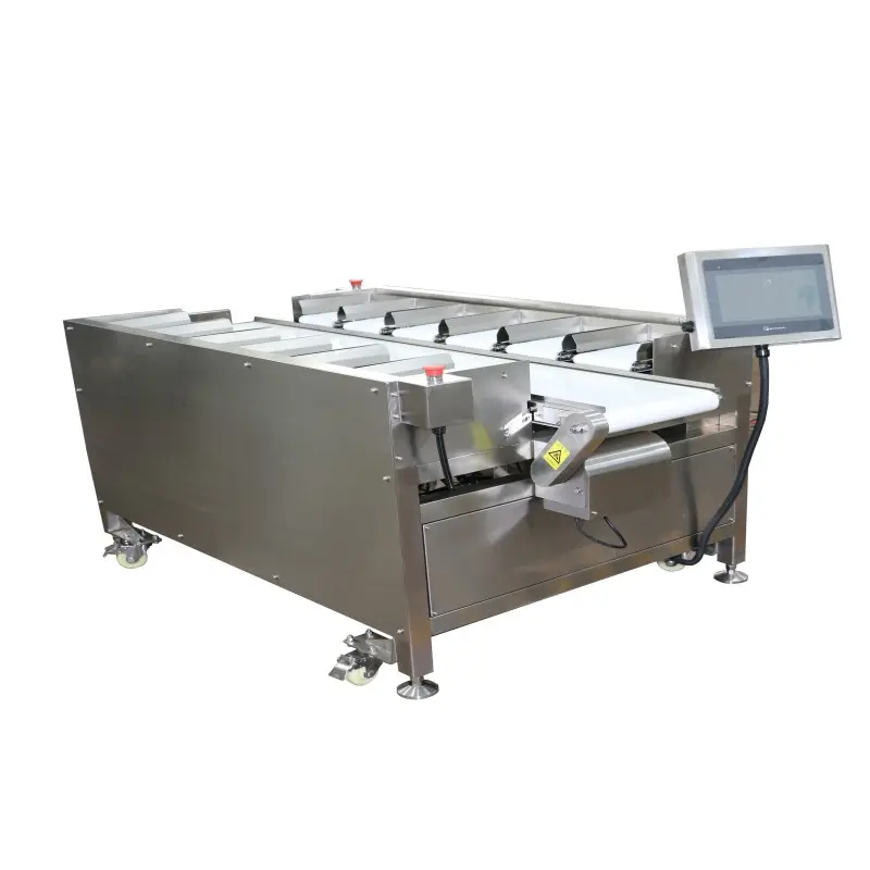 Beiheng Quality Salmon Beef Fillet Combination 12 Head Scale Automatic Belt Scale (2).jpg