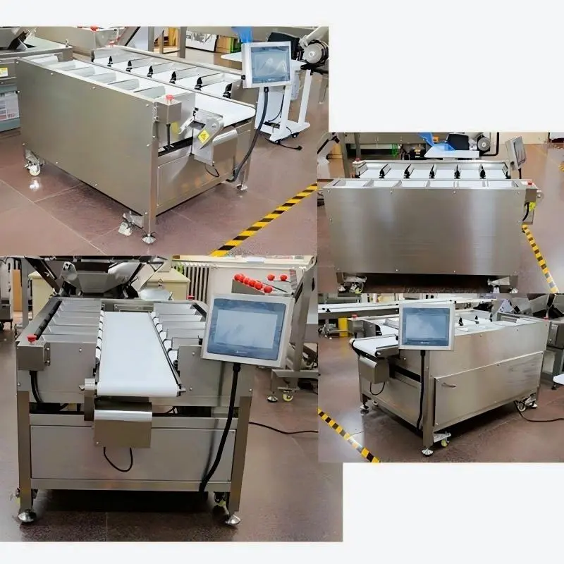 Beiheng Quality Salmon Beef Fillet Combination 12 Head Scale Automatic Belt Scale (4).jpg