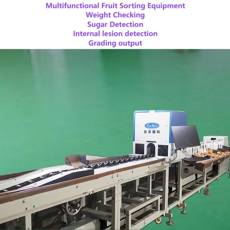 Beiheng Rotary Weight Sorters Customized Weight Sorting Machine Grading Machine Weight Classifier Grader Sorter Equipment for Fruit Apple Mango Lemon Orange Cherry Shrimp Seafood