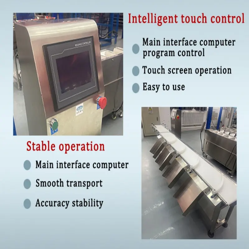 Beiheng High Accuracy Automatic Industry Commercial Use Weighing Fish Shrimp Conveyor Belt Weight Sorting Machine (5).jpg