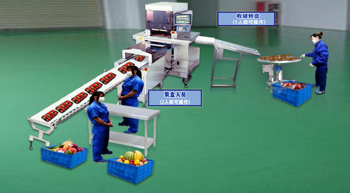 Full automatic packaging machine stainless steel table production line diagram